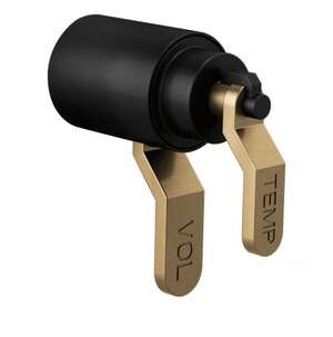 Litze Bath Collection TempAssure Thermostatic Valve Trim Kit, Matte Black/Luxe G